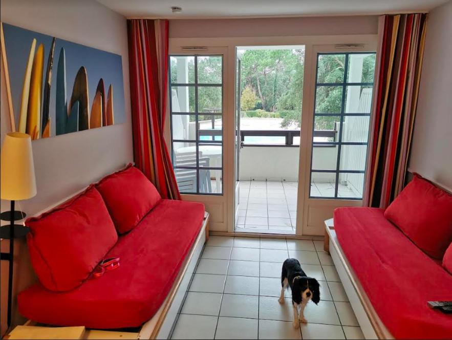 Great Condo Between Golf Course And Beach 몰리엣젯마 외부 사진